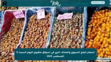 أسعار البلح السيوي وأصناف أخرى في أسواق مطروح اليوم السبت 9 أغسطس 2025
